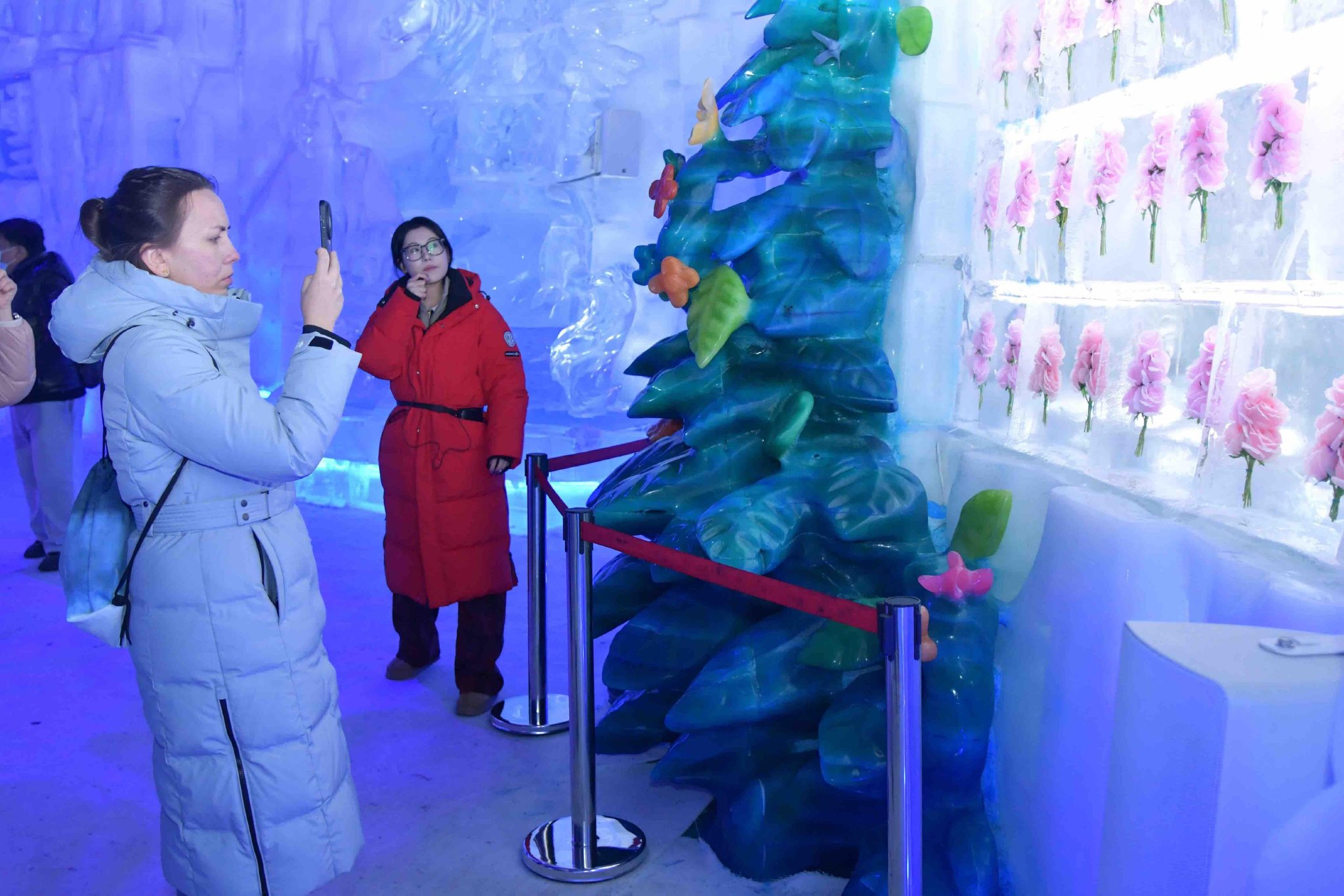 69396154e48c1.jpg 69396154e48c1.jpg